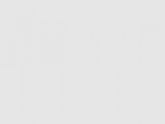 Fusce dapibus, tellus ac cursus commodo.